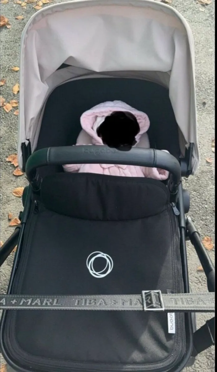 Bugaboo - Image 4