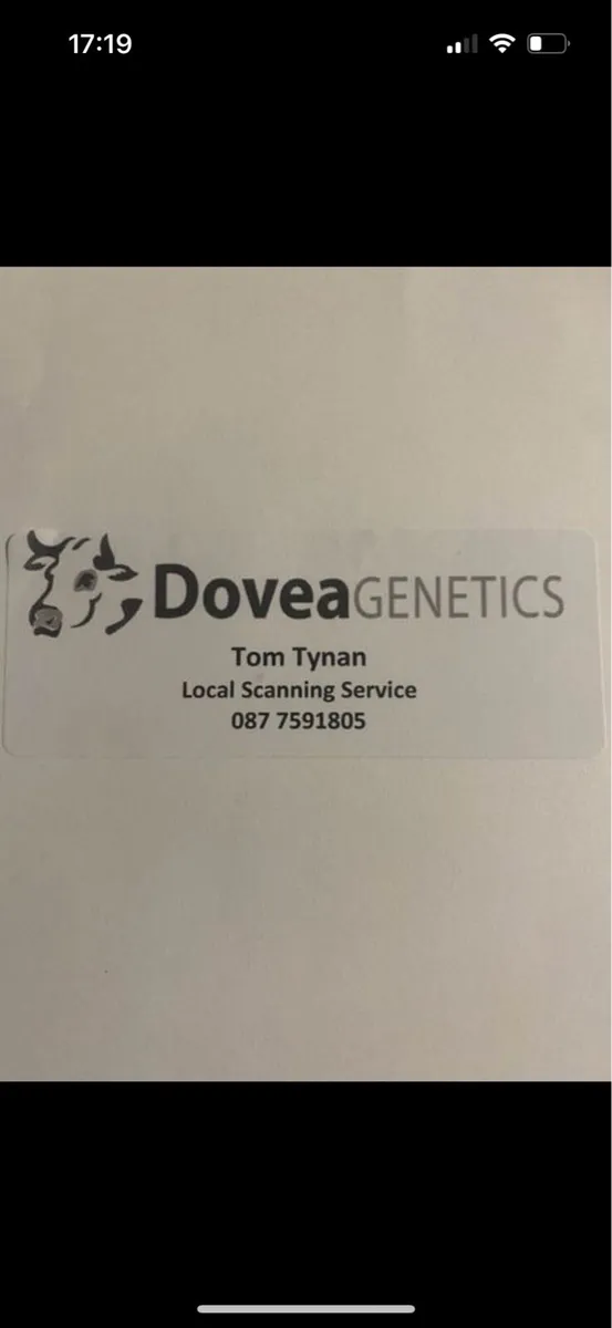 Cow scanning - Image 1