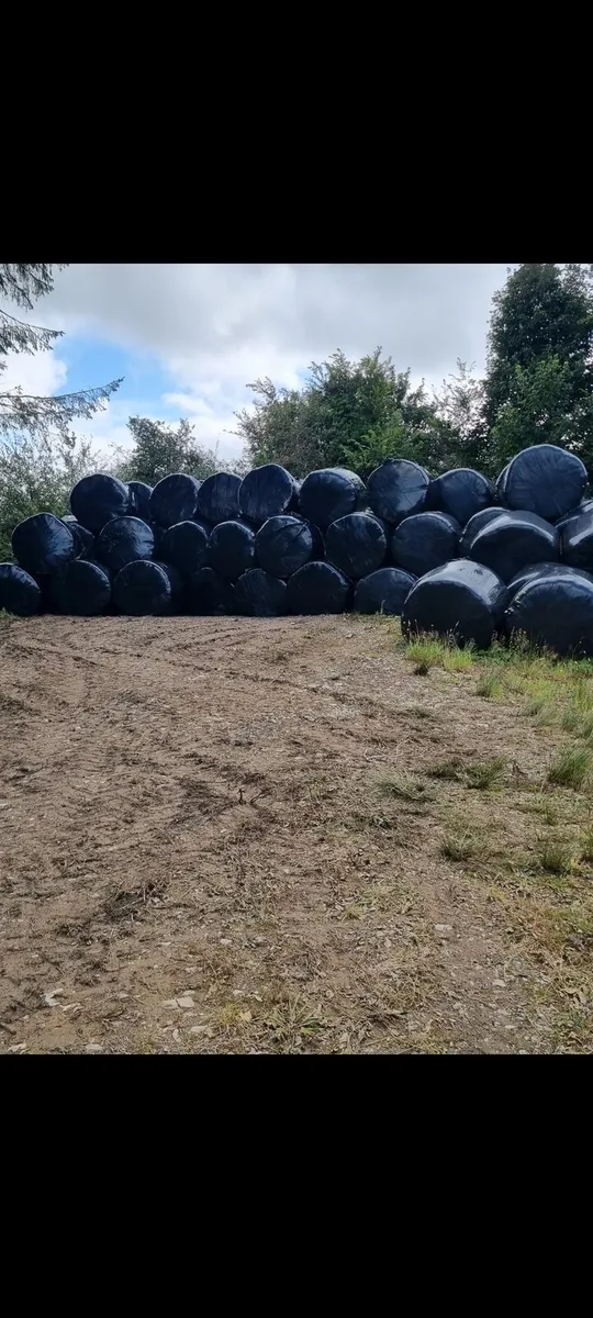 Silage bales