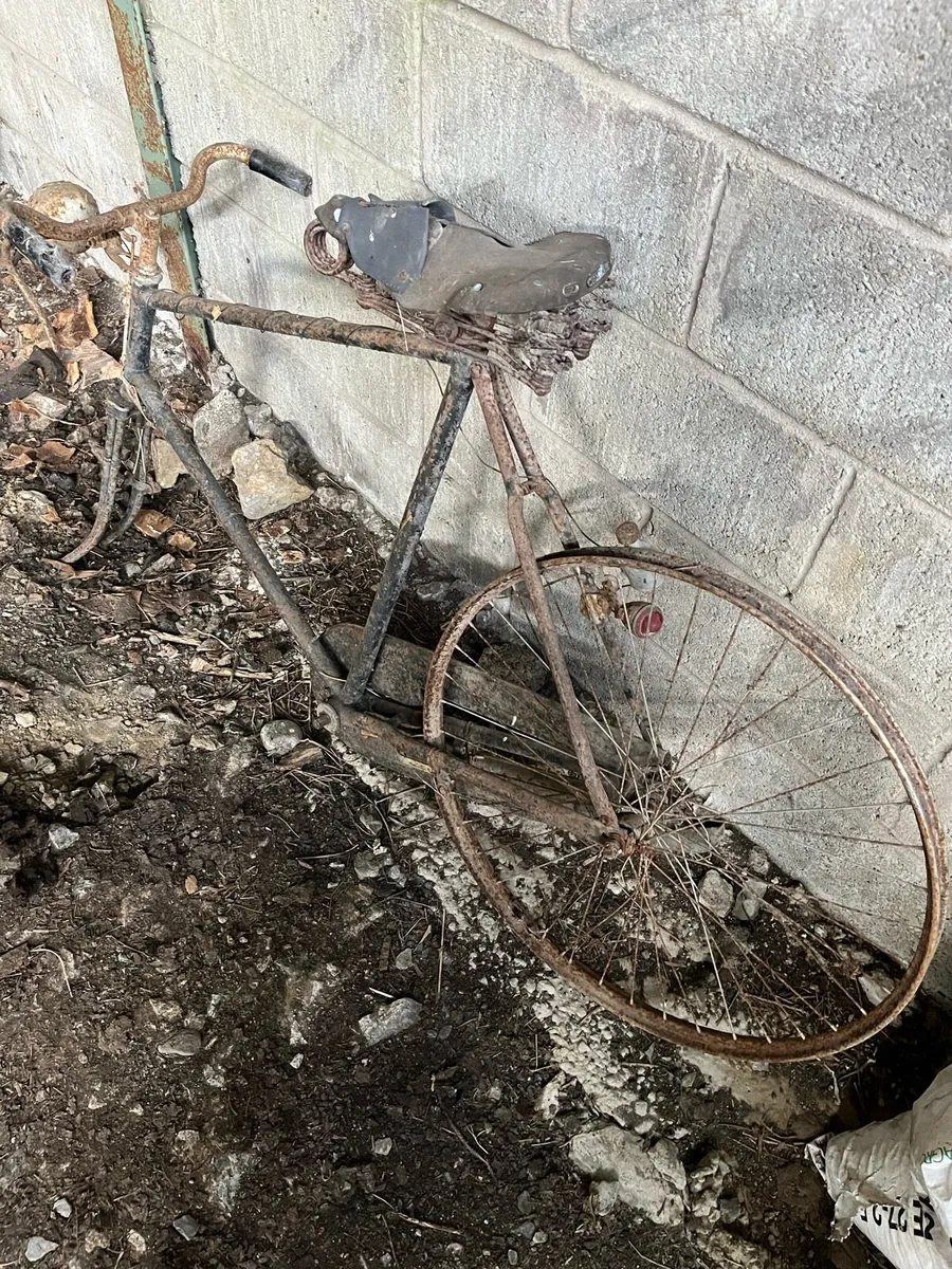 2 high nelly bicycles - Image 4