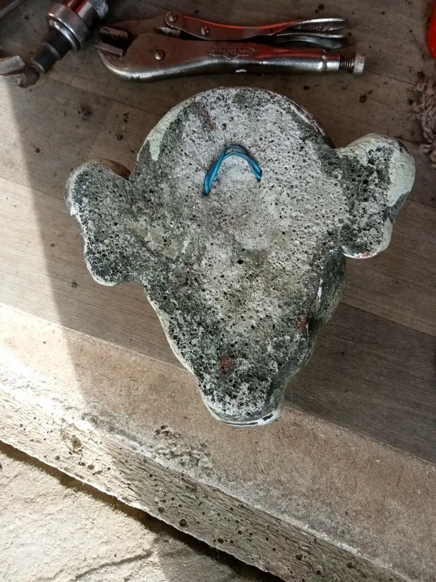 Old gargail head - Image 2