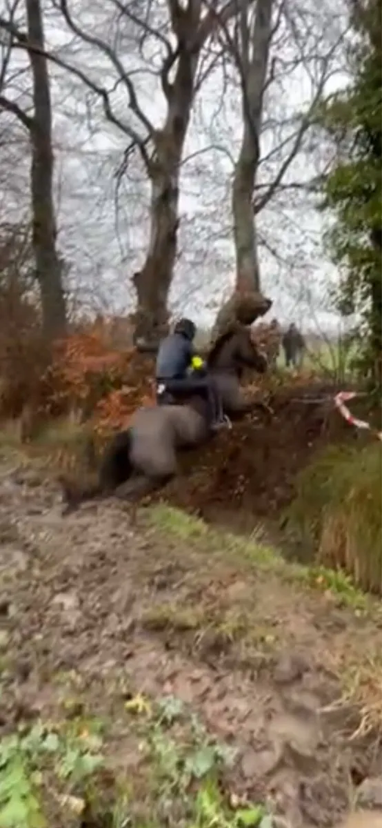 Dream all rounder - Image 2