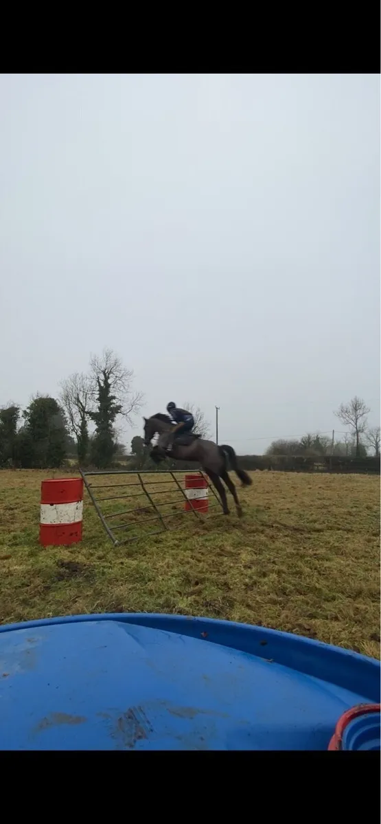 Dream all rounder - Image 1