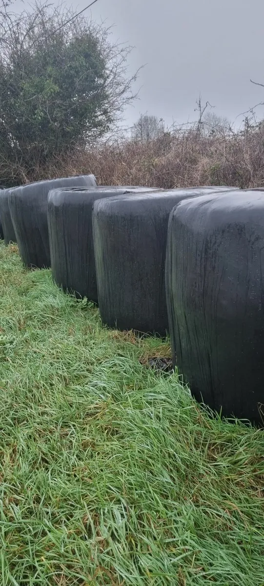 Round bales silage - Image 1