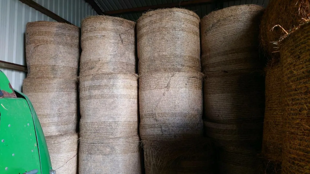 Hay and Straw Organic - Image 2