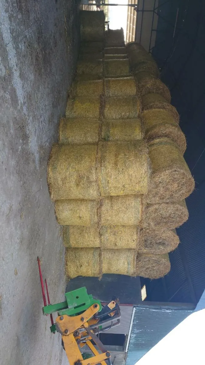 Hay and Straw Organic - Image 4