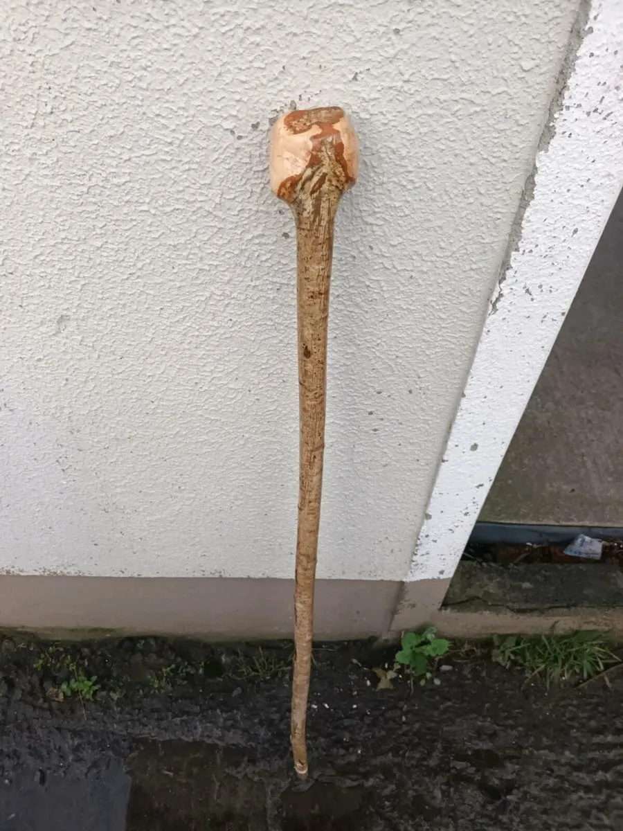 Walking stick /hazal - Image 2