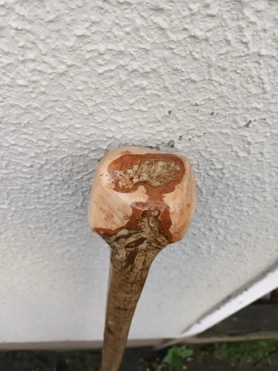 Walking stick /hazal - Image 3