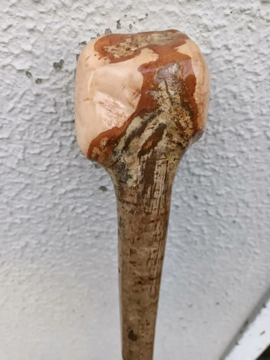 Walking stick /hazal - Image 1