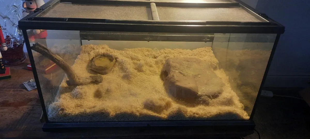 Snake with all equipment - Image 2