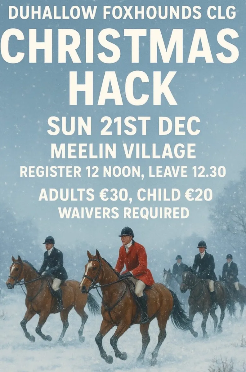 Duhallow Foxhounds Festive Hack