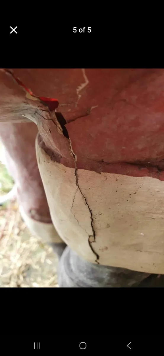 Poly fibre Christmas santa - Image 3