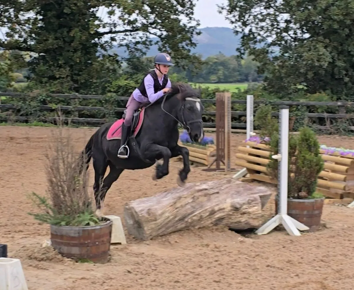 ***One in A Million Allrounder*** - Image 4