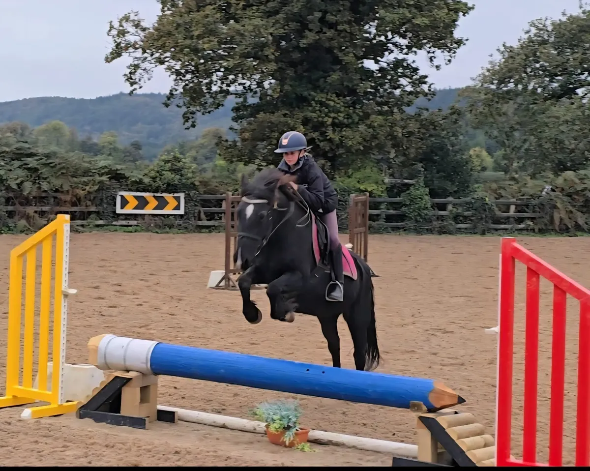 ***One in A Million Allrounder*** - Image 1