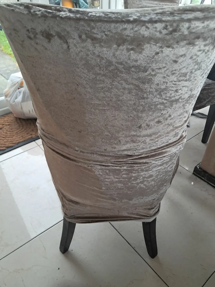 Dining chairs - Image 1