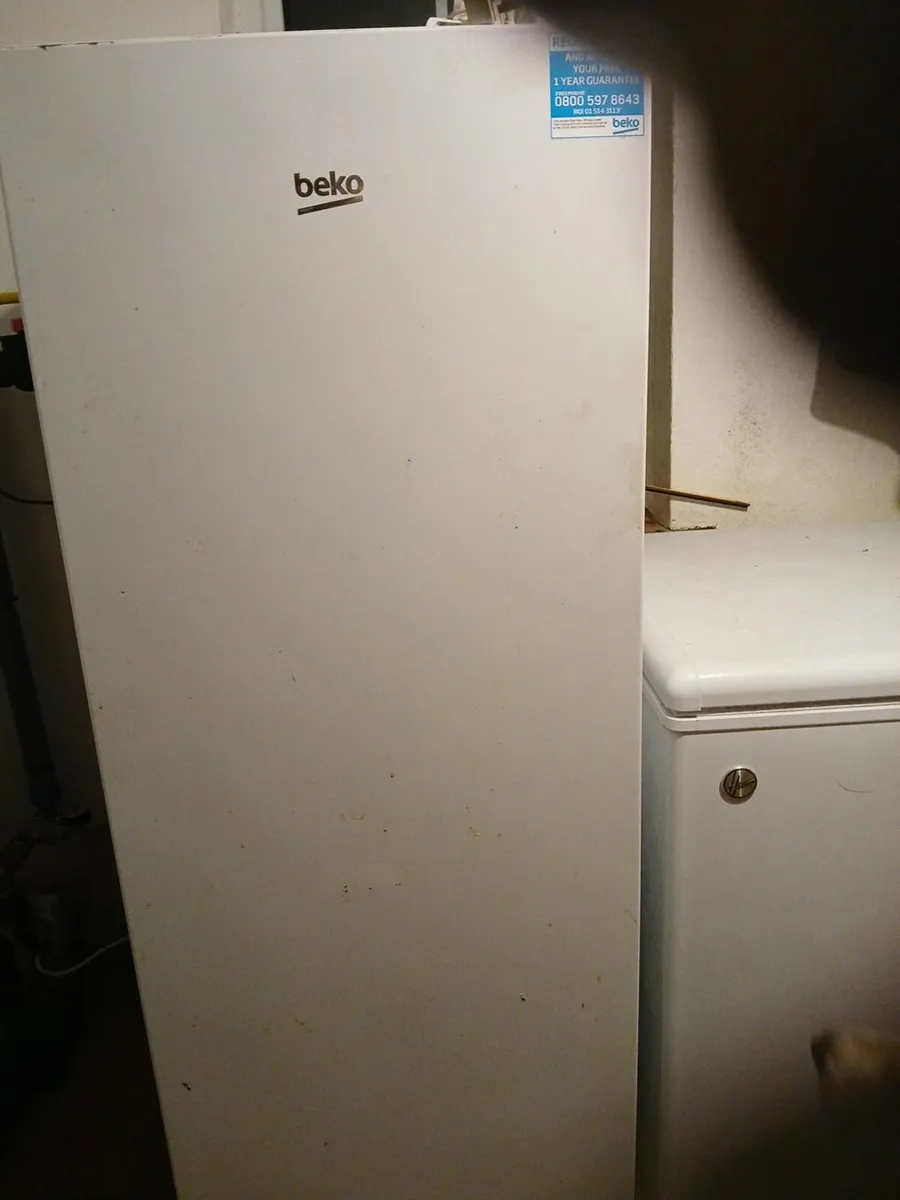 Large fridge and freezer - Image 2