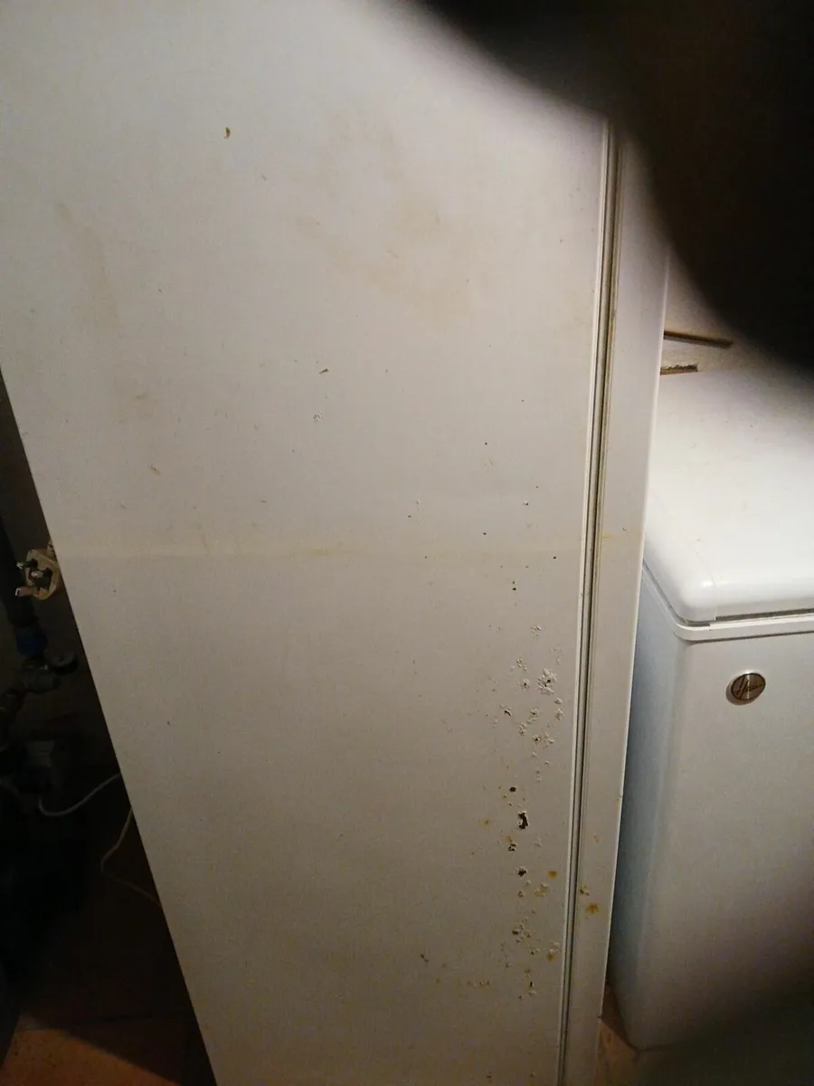 Large fridge and freezer - Image 3