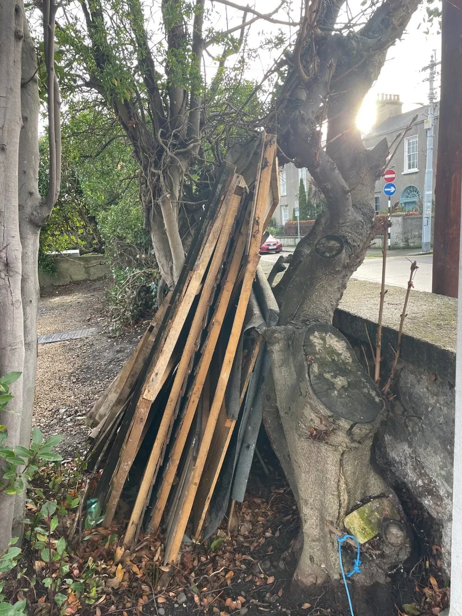 Garden shed - Image 2