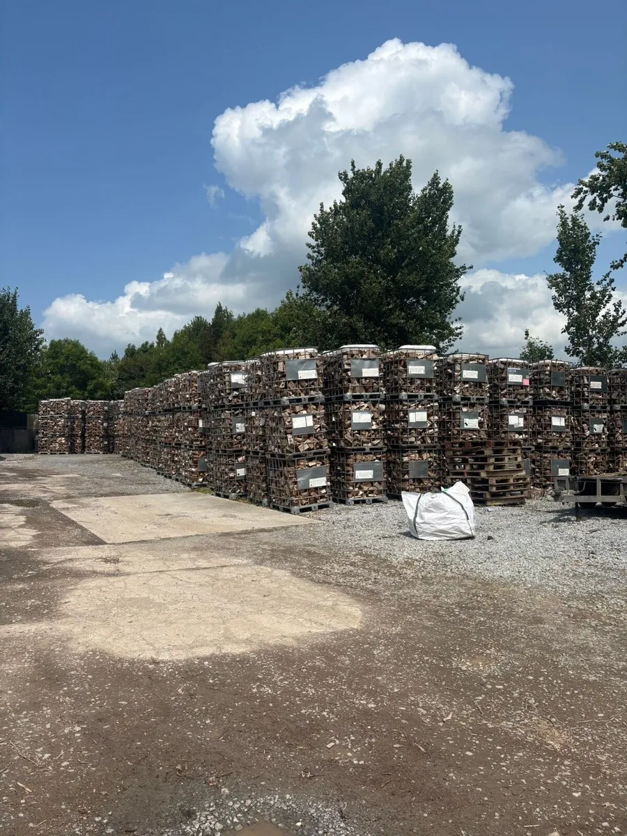 Seasoned Firewood - Image 2