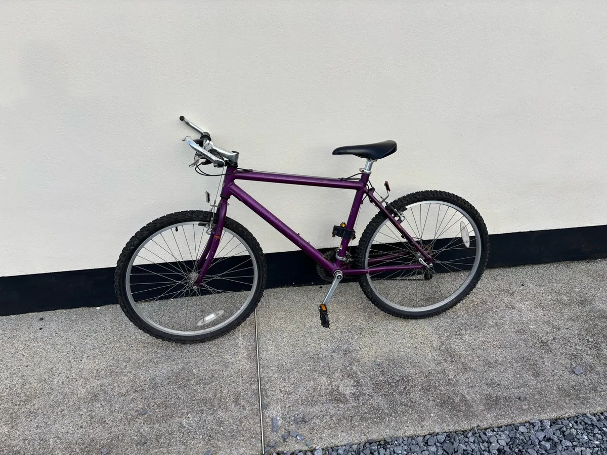 Lady’s bike - Image 1