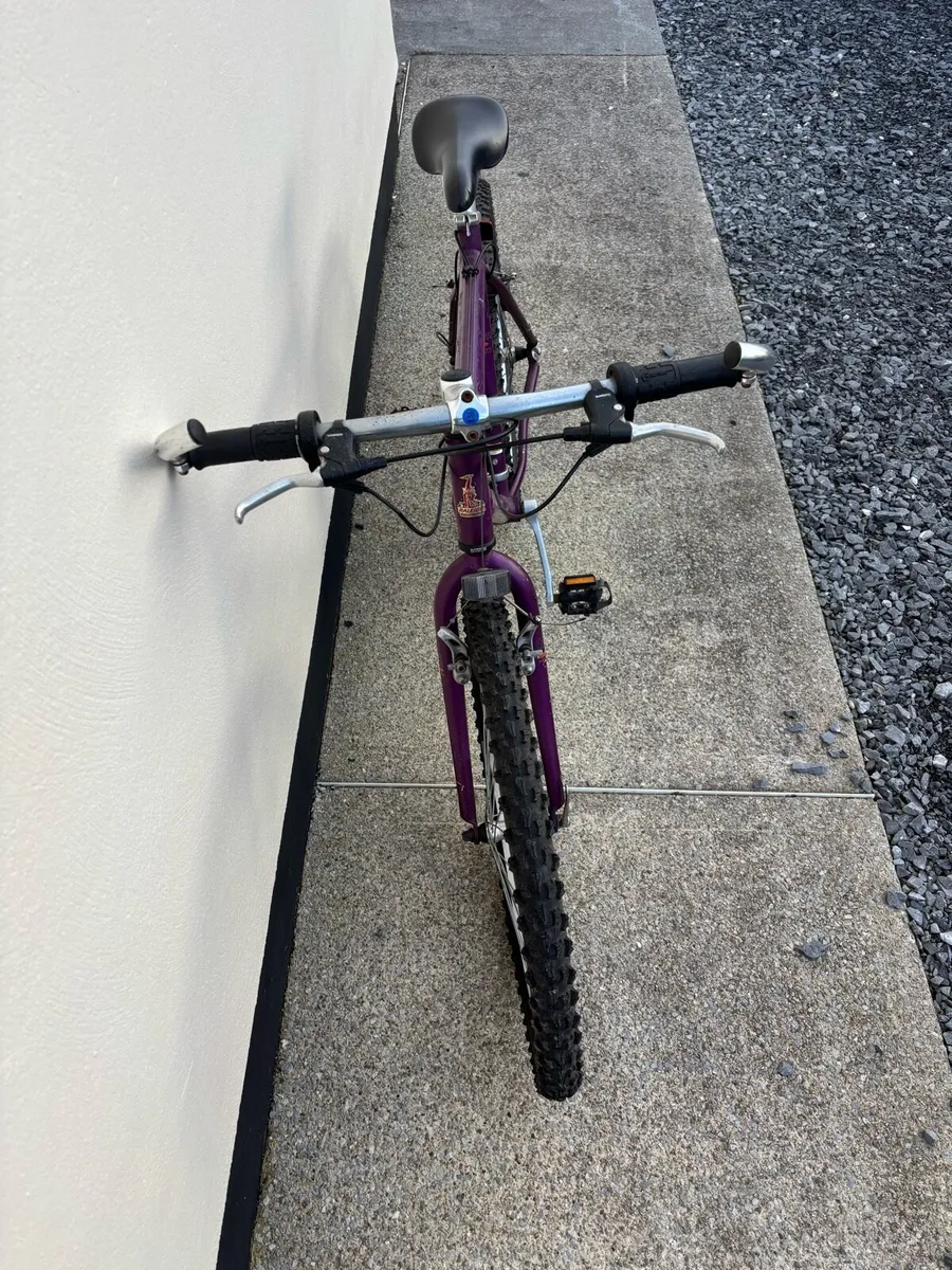 Lady’s bike - Image 3