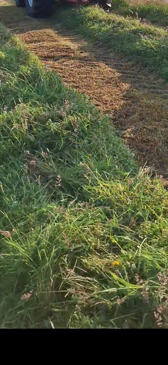 Quality 2025 silage - Image 1