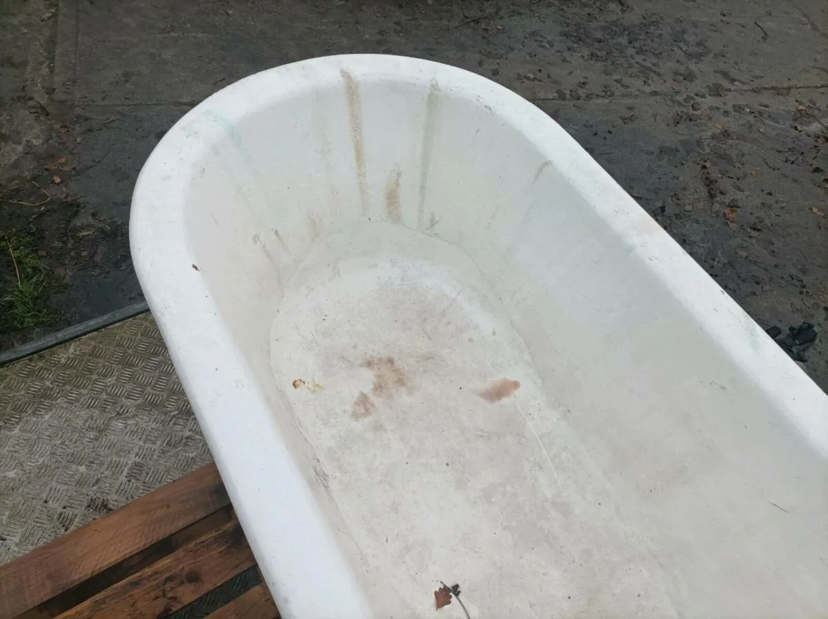 Cast iron bath claw legs - Image 4