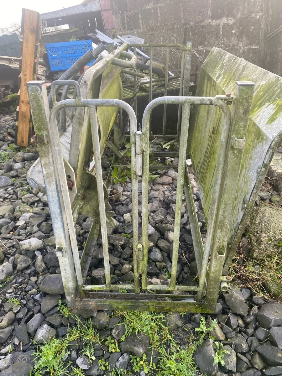 Sheep turnover create - Image 1