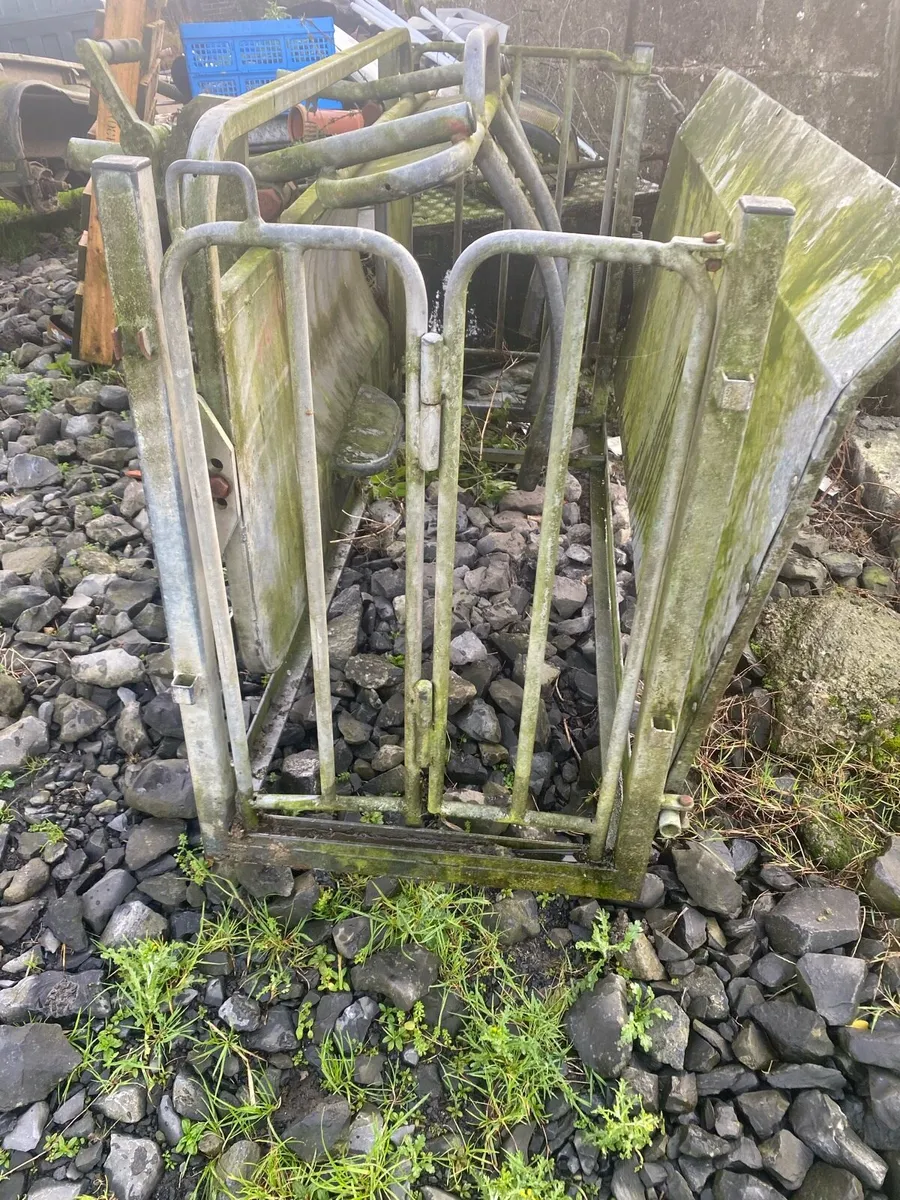 Sheep turnover create - Image 2