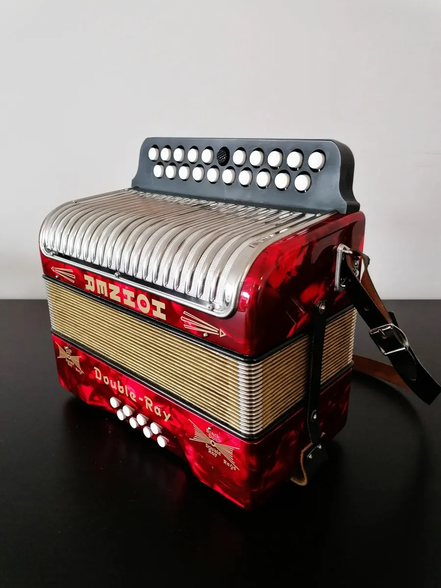 Accordion - Image 3