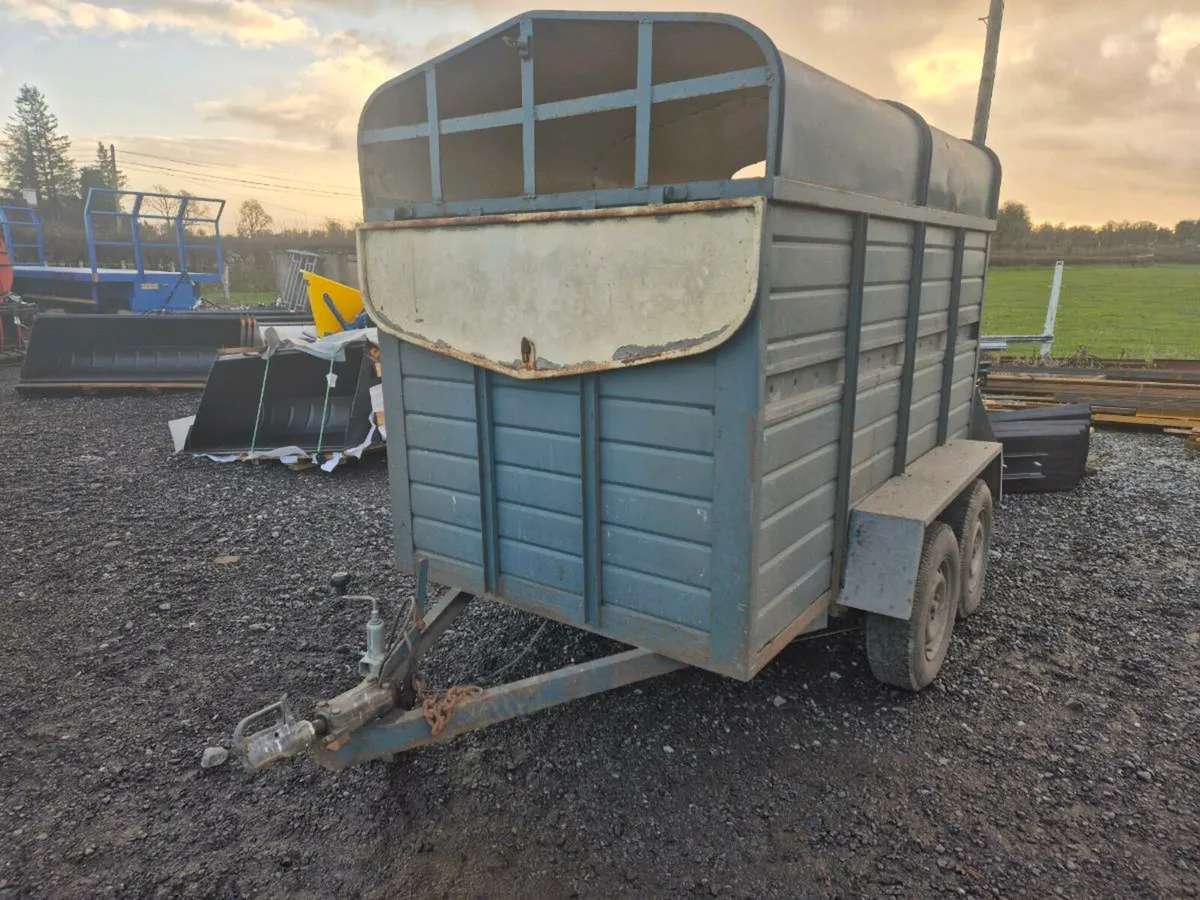 Cowbox 8x5ft - Image 1