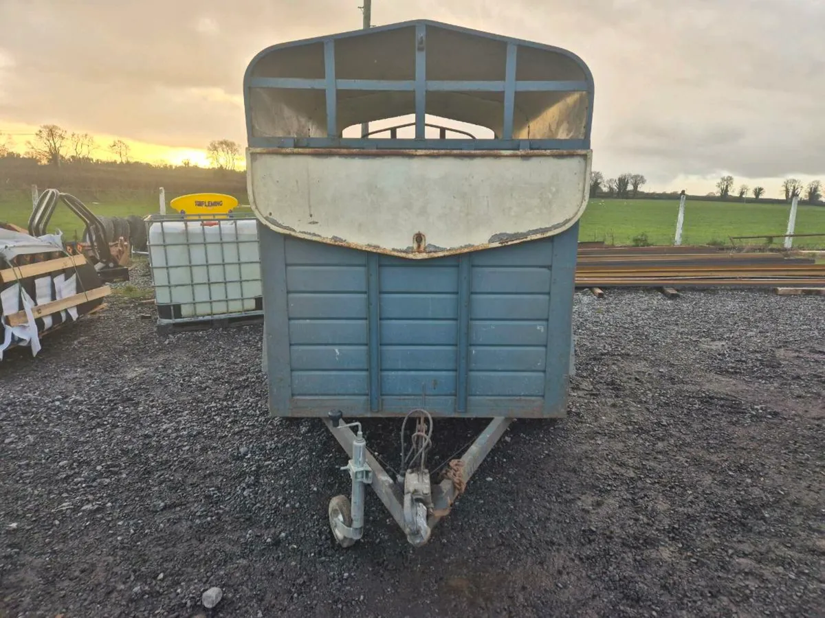 Cowbox 8x5ft - Image 2