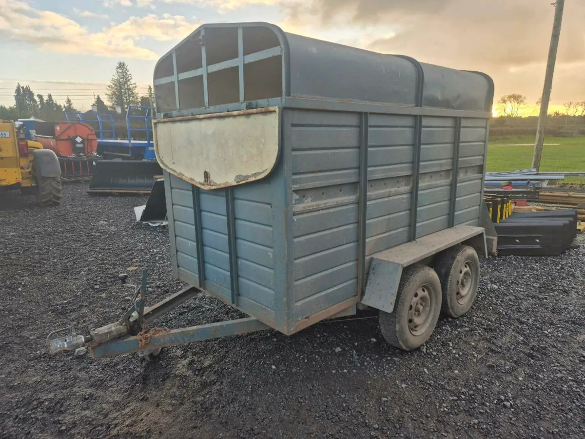 Cowbox 8x5ft - Image 3