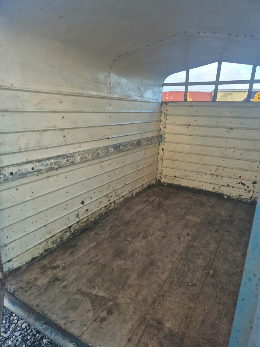 Cowbox 8x5ft - Image 4