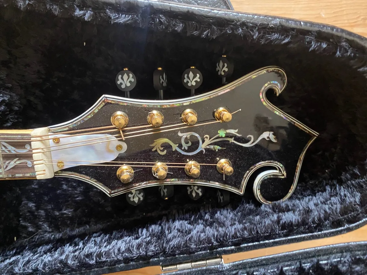 F Mandolin - Image 3