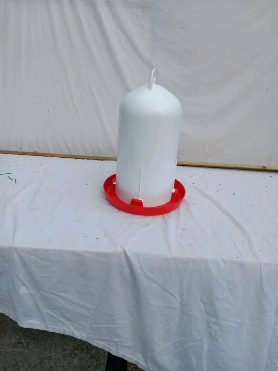 Poultry feeders - Image 4