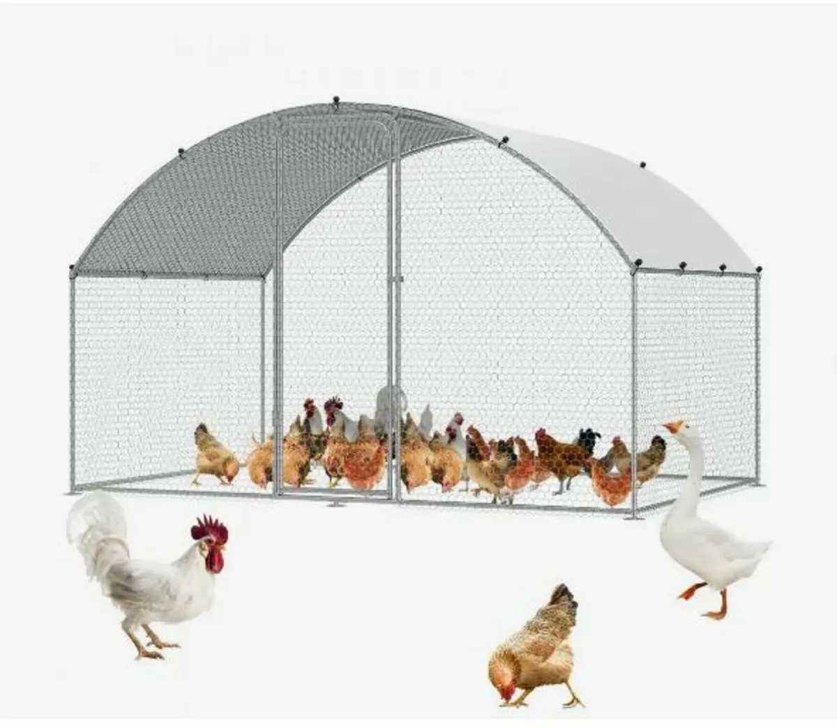 Chicken Coop, 3x1.97x1.99 m Walk-in Large - Image 3