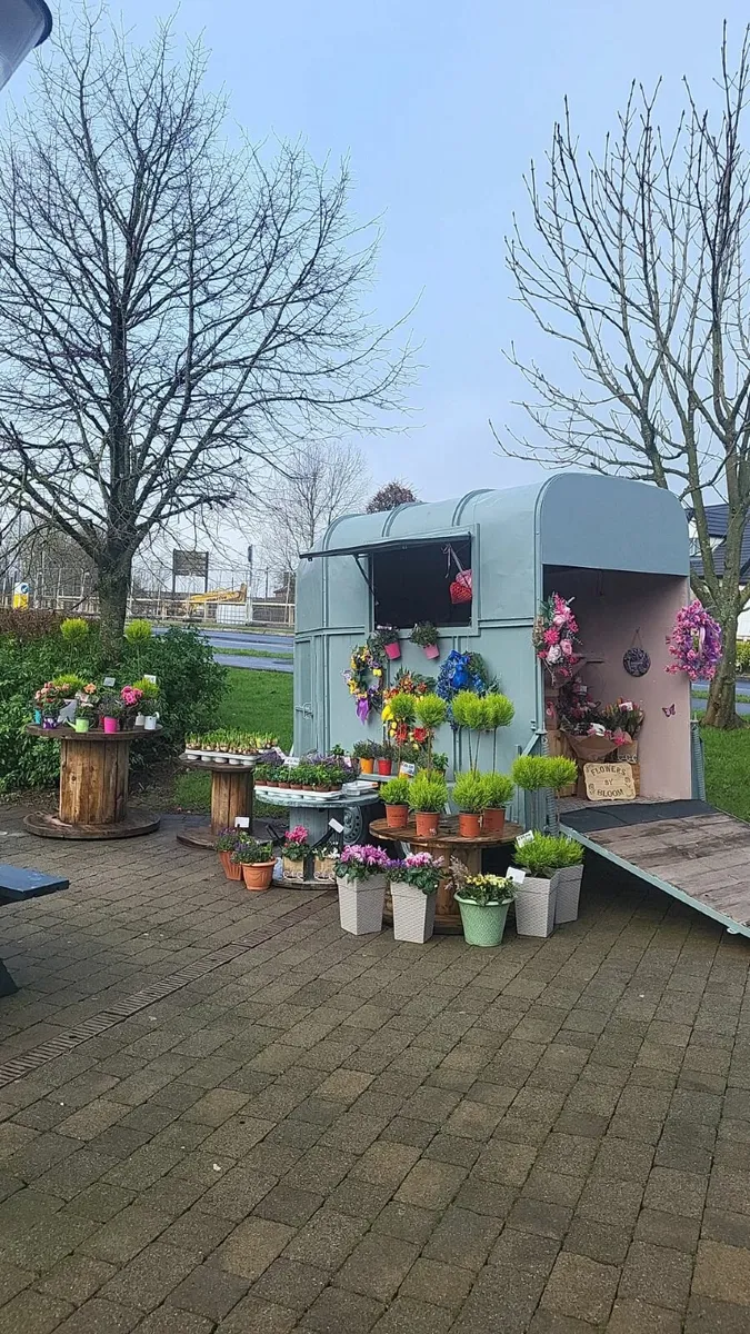 Horse box catering - Image 2