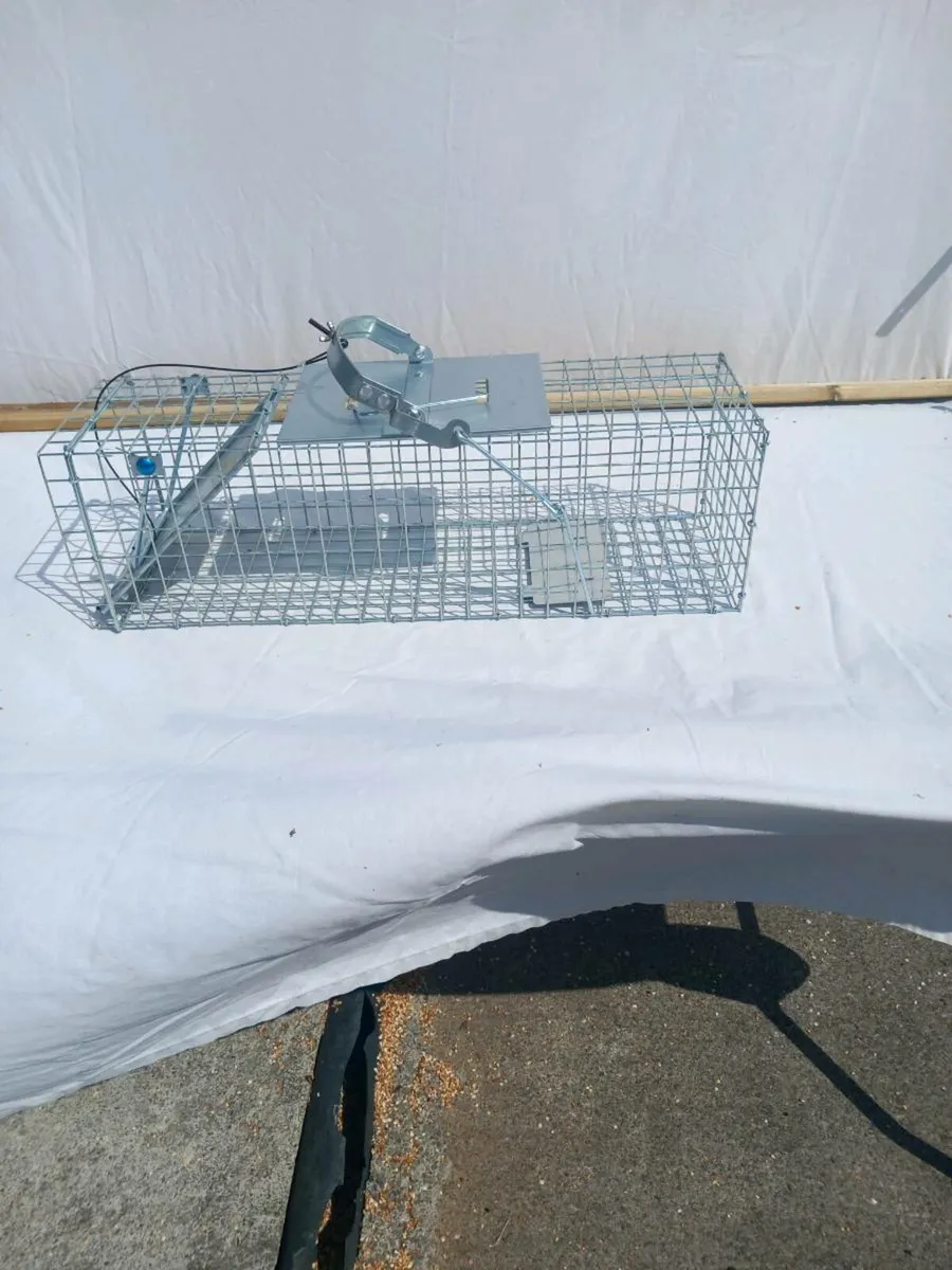 Autoset Mink Trap - Image 1