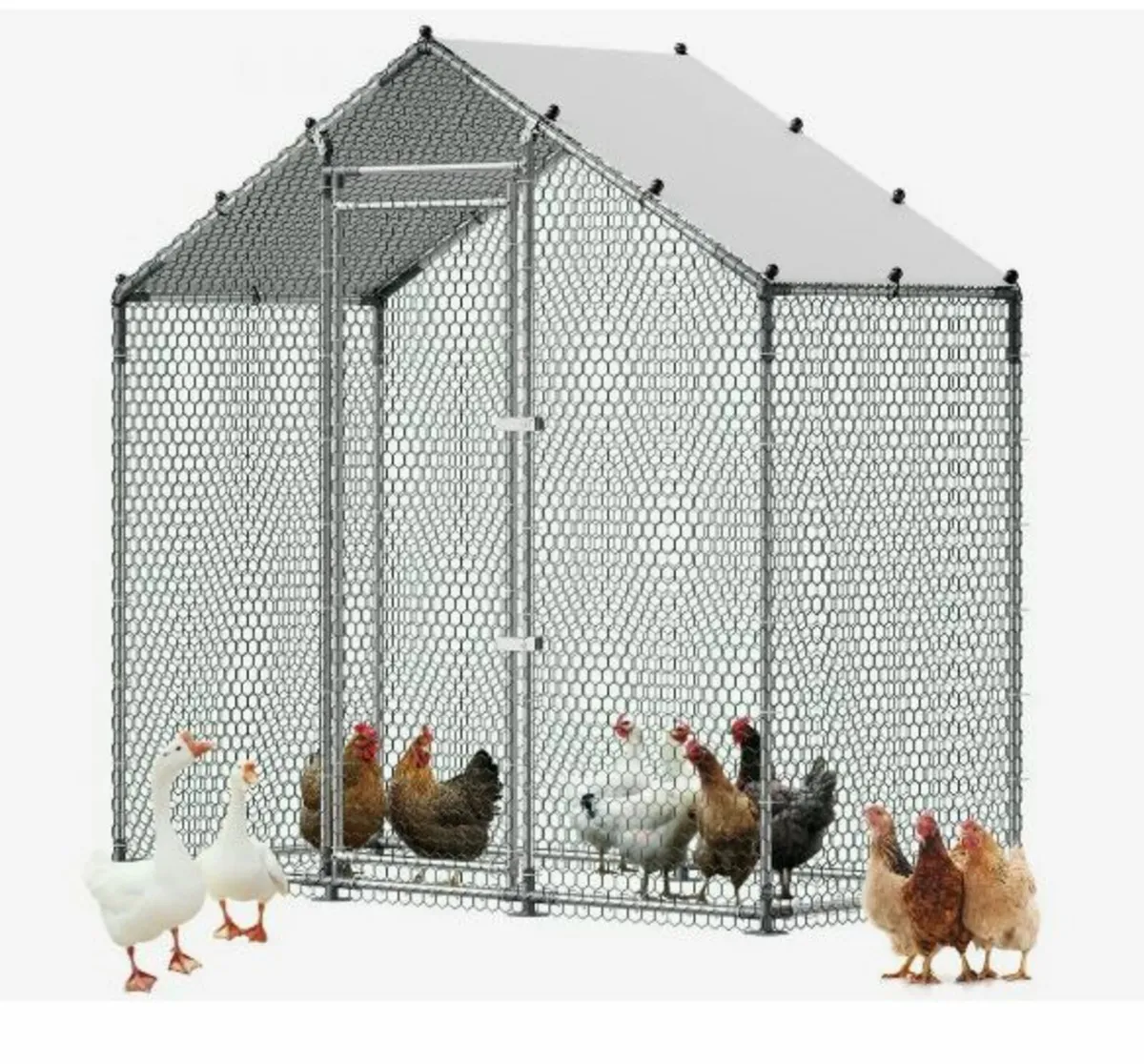 Large Metal Chicken Coop, 2 x 1 x 2 m - Image 1