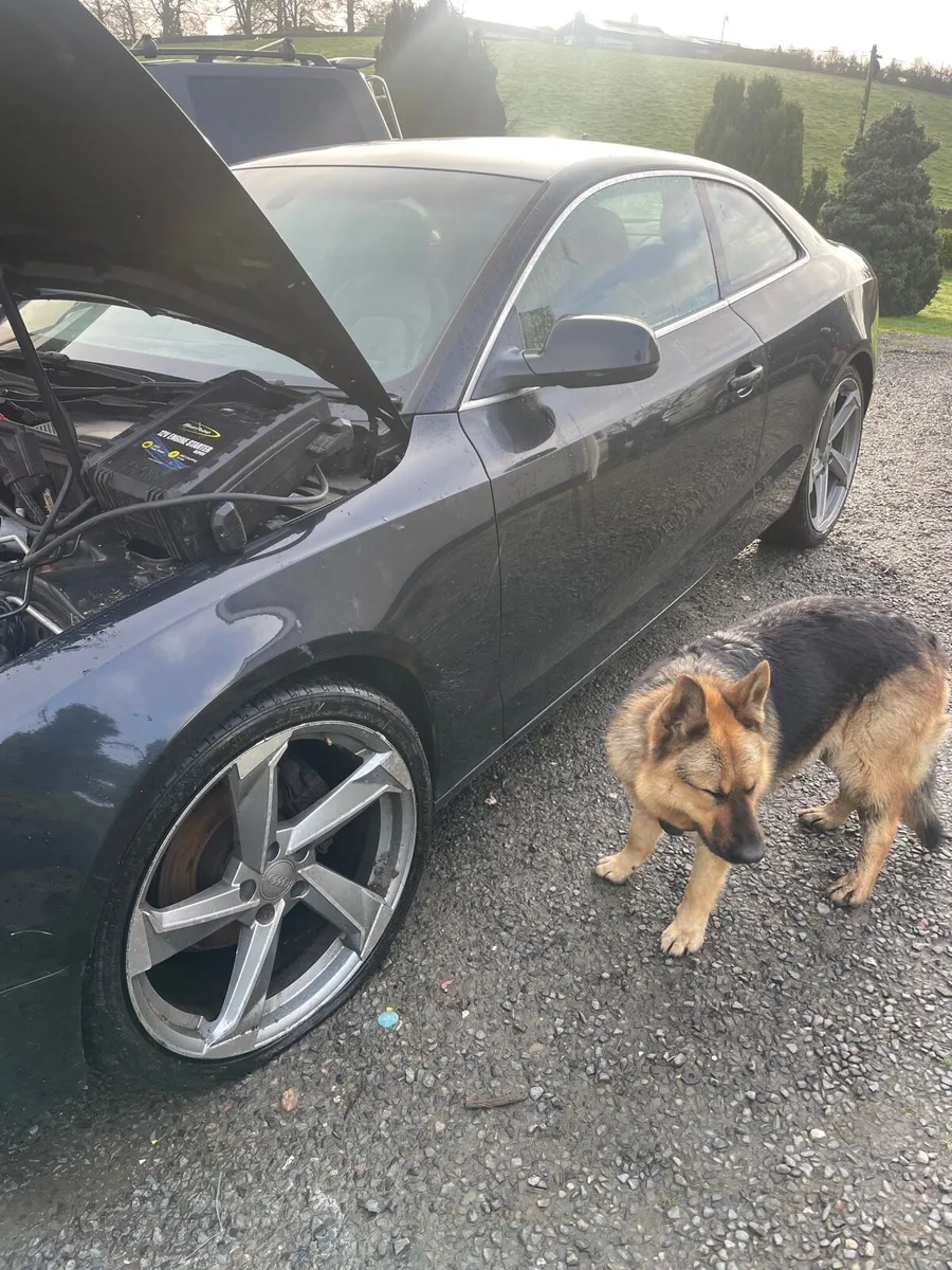 Audi A5 2.0tdi 2010 for breaking - Image 2