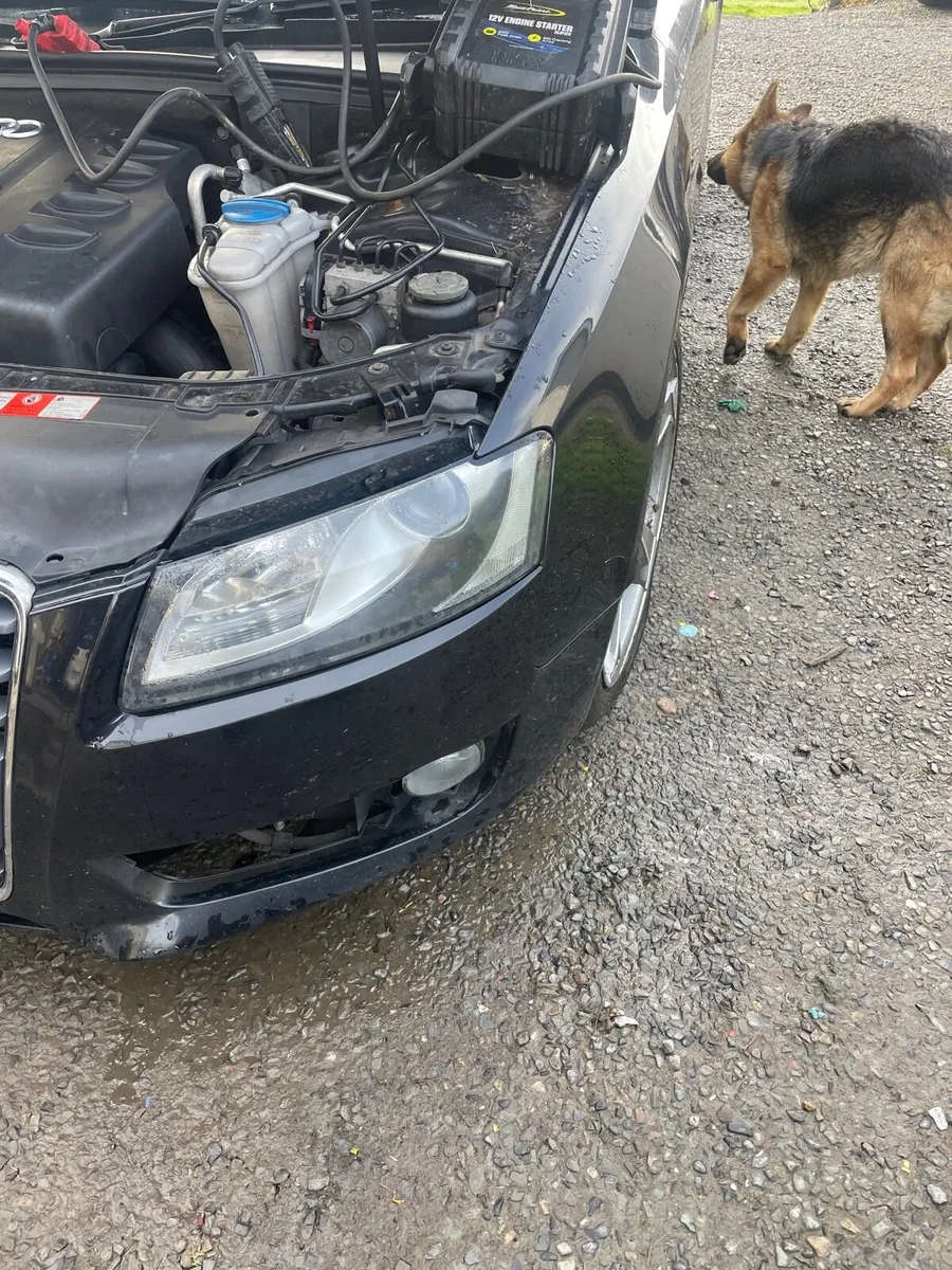 Audi A5 2.0tdi 2010 for breaking - Image 3