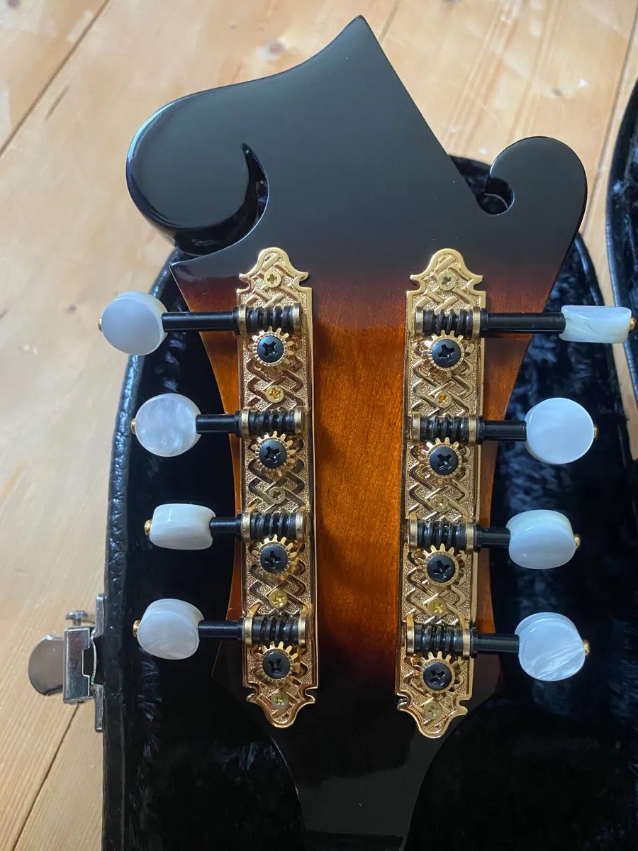 F style Mandolin - Image 4