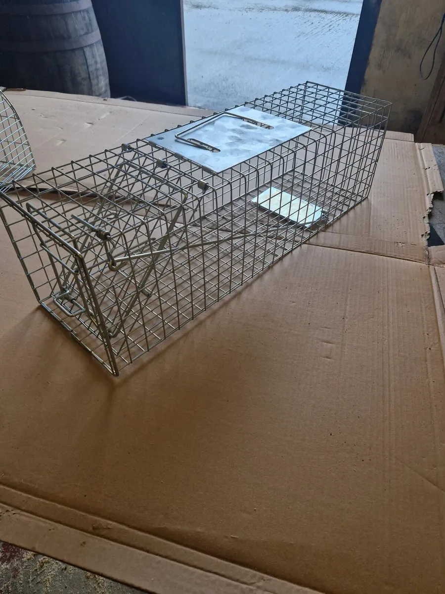 Autoset Mink Trap - Image 2