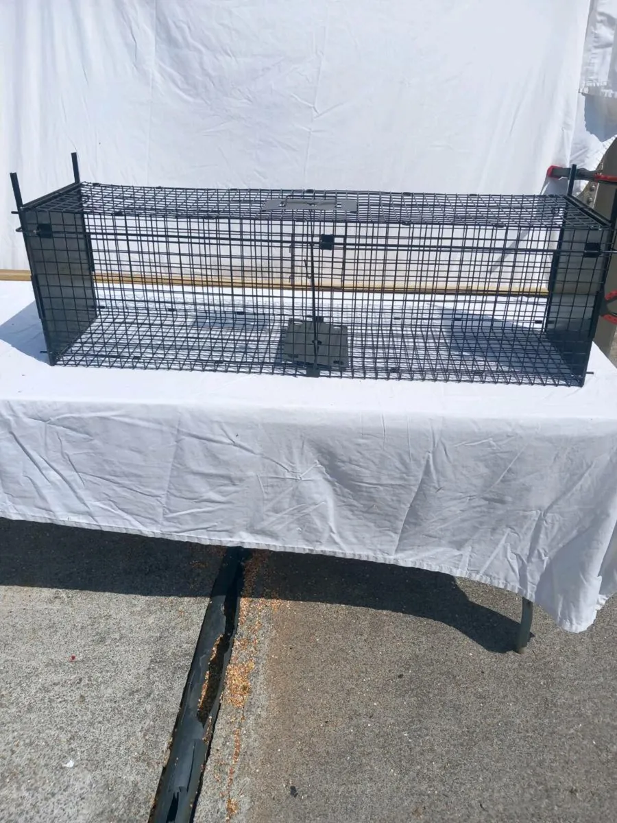 Autoset Mink Trap - Image 4