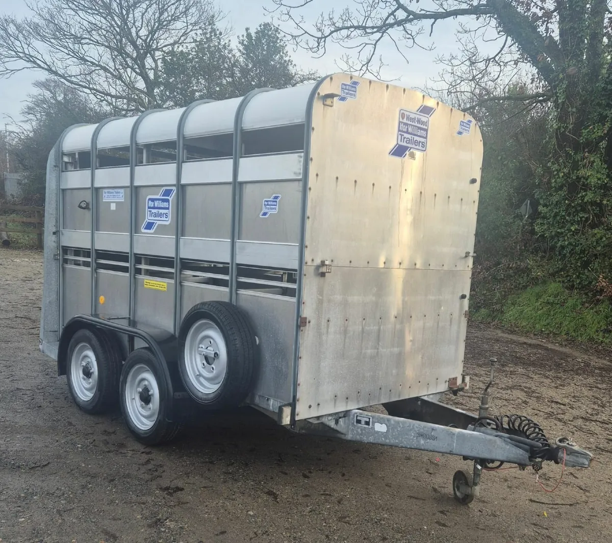 Ifor Williams 10 x 5 cattle/sheep trailer - Image 1