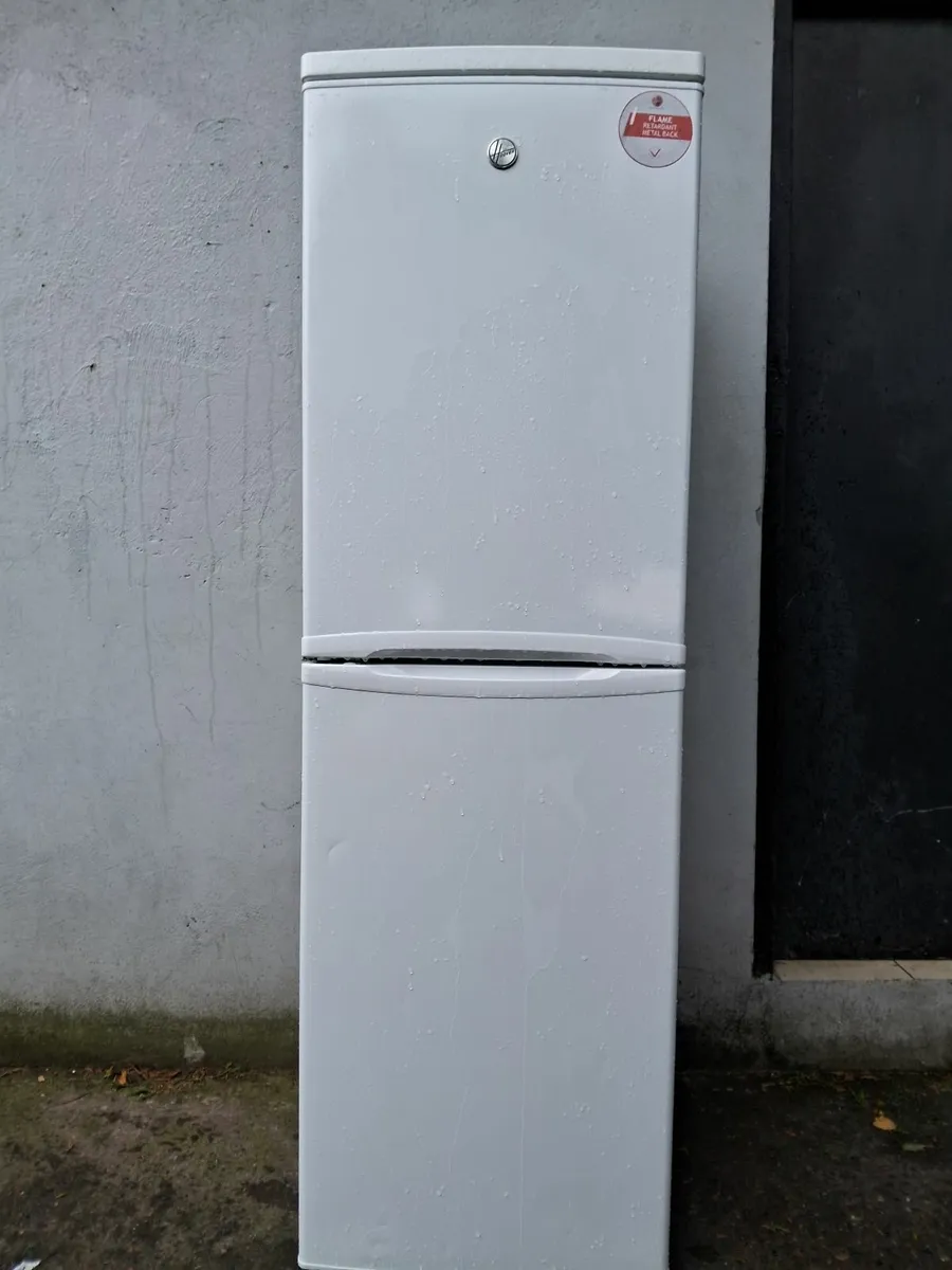 FRIDGE AND FREEZER FOR SALE - Image 1