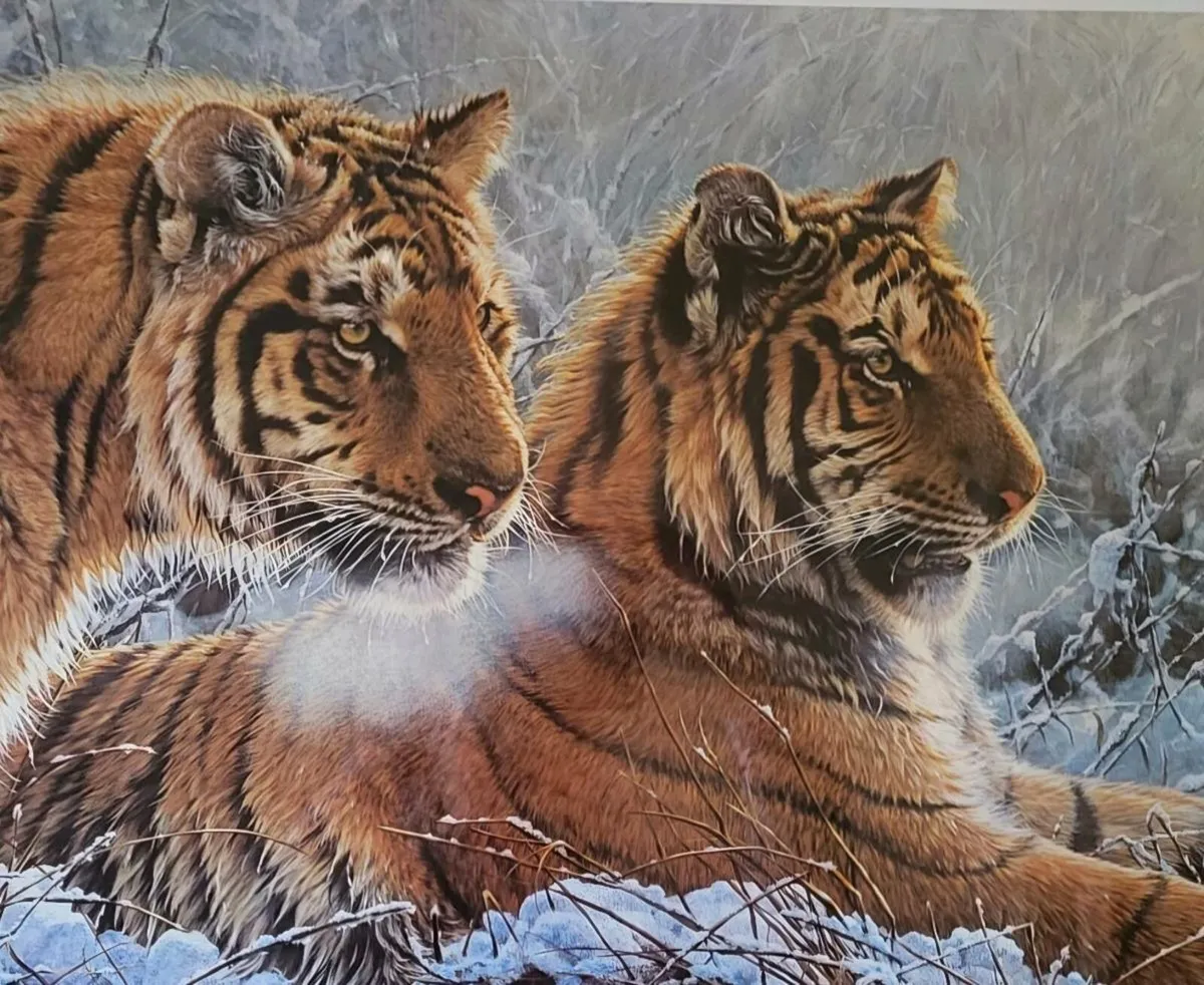 Ltd Edition "Siberian Gold" Picture by Alan M Hunt - Image 1