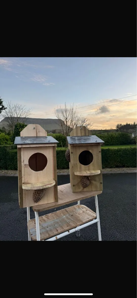 Owl boxes for sale - Image 1