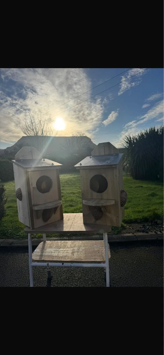 Owl boxes for sale - Image 4